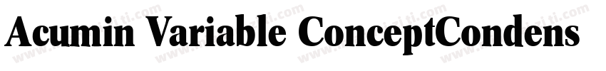 Acumin Variable ConceptCondensed Bl字体转换